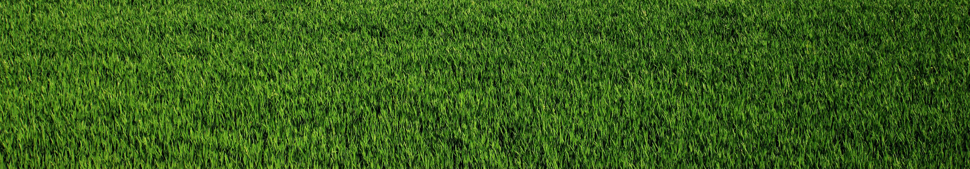 vegetation-management-solution